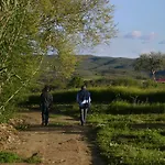Affittacamere Quinta Do Barracao Da Vilarica 3*