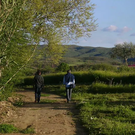 Pensjonat Quinta Do Barracao Da Vilarica 3*