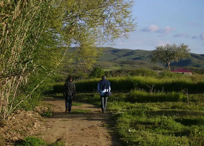 Gasthuis Quinta Do Barracao Da Vilarica 3*